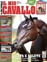 Il mio Cavallo